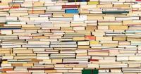 Here are 5 fresh books with South Carolina roots for your November reading list