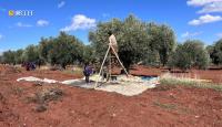 Syria’s Afrin olive production falls to 35% as farmers struggle with costs