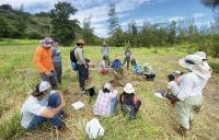 Commission launching workshops to boost soil health and agricultural resilience