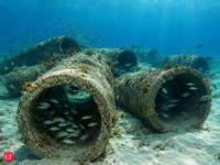 North Carolina dumped 7,200 tons of discarded concrete pipe onto bare ocean floor at AR-165; the reef later grew to include 3 retired tugboats for fish habitat