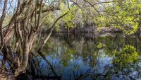 Sandwiched Between Tallahassee And Jacksonville Is Florida's River Town With Mineral Springs And Southern Soul