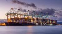 Shipping companies make the most of rising freight rates, posting record profits