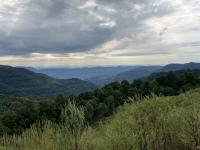 Cumberland Forest Project Does Global Conservation in Rural Appalachia