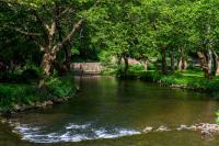 With data center proposals in the Lehigh Valley, environmental group has plan to protect waterways