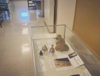 The Cobb Institute of Archaeology at Mississippi State University   