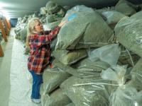 New Hemp Rule Upends Industry for Vermont CBD Producers