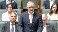 Australian establishment exploits attack on MP despite no evidence of political motive
