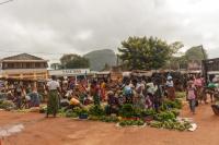 Mozambique plans to create 500,000 jobs through co-op development programme