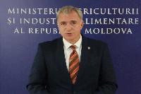 MINISTER OF AGRICULTURE AND FOOD INDUSTRY EXPLAINS NEED TO EXTEND IMPORT LICENSING REGIME FOR CEREALS AND OILSEEDS