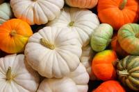 Boston Mountain Solid Waste District sets up pumpkin composting drop-off locations in Northwest Arkansas