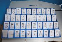 Israel's high-turnout vote brushed aside in rest of the Middle East