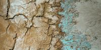 Scientists Identified 9 Ways of Measuring Earth’s Habitability. We’re Already Failing at 7 of Them.
