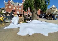Hallmark-style holiday movie shot in Stratford set to air on W Network