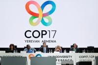 COP17 seeks consensus on nature finance and tackling environmentally harmful subsidies
