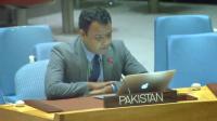 Pakistan calls for curbs on veto power in UN Security Council reforms