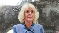Queen Camilla's hidden fears leave King Charles solo on Caribbean tour