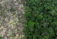 Green Climate Fund backs US$46 million initiative to secure Cameroon’s permanent forests against climate change