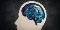 Intelligence and fertility: Do smarter people have fewer children? The strongest evidence suggests a smaller, more complicated link