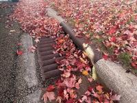 Minnesota Has a Warning About Those Leaves in Your Gutters