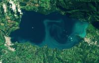 Chilean government declares preventive emergency, eyeing threats of harmful algal blooms