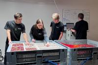 Hectre opens Auckland lab to develop pioneering hyperspectral technology
