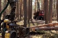 Forest Industries Ireland welcomes Budget 2027
