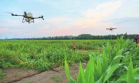 China's agricultural drone fleet exceeds 300,000 units, ranking first in the world