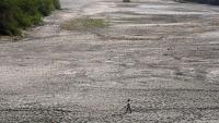 Medical experts warn climate change is now a 'global health emergency'