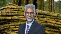 SA’s sugar industry at a crossroads: The shift to bioethanol