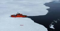 'Never seen': sea ice loss triggers big ocean change