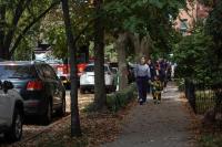Phoenix Photober: Foraging for fall fun