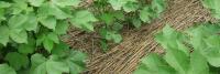 North Dakota Farmers Gain More Options Under USDA’s Expanded Regenerative Program