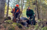 2026 New Hampshire Moose Hunt Highlights