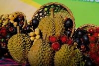 Researchers harness AI for durian analysis