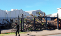 The transportation of baobabs to Georgia has been blocked by South African authorities amid a criminal case.
