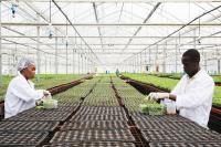 Rwanda’s Agri-Food Revolution: €2.15m Investment to Scale Local Innovation