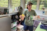 Inside the Nairobi wild birds hospital saving cranes, other endangered species