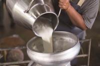 Innovation: Biotechnology can help dairy farmers lessen milk shortage