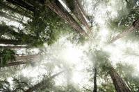 Region hosts forum to show preparing for climate change starts close to home
