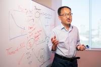 Researchers identify pathway that enables regulatory T cells to prevent devastating autoimmune responses to gut bacteria