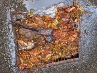 Amman Governor: Fallen leaves, soil behind water accumulation