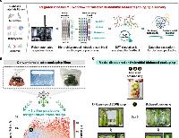 Sustainable biobased packaging via integrated robotics/machine learning workflow for improved postharvest preservation