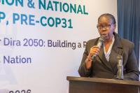 Experts tasked with mobilising climate financing