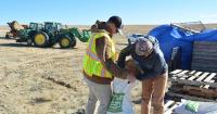 How native seeds are mending Wyoming’s landscape