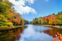 New York's Fall Color Report For Late October