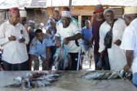 Climate change cuts fish stocks and disrupts livelihoods in Tanga