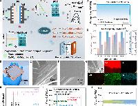 Engineering a closed-loop electrochemical pathway for cadmium recovery and aqueous battery reutilization