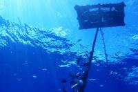 FAD management brings 3 Caribbean nations together