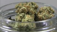 Cincinnati council seeks to direct marijuana tax revenue to housing, youth programs