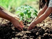 Climate-friendly report can attract huge investment, moot told